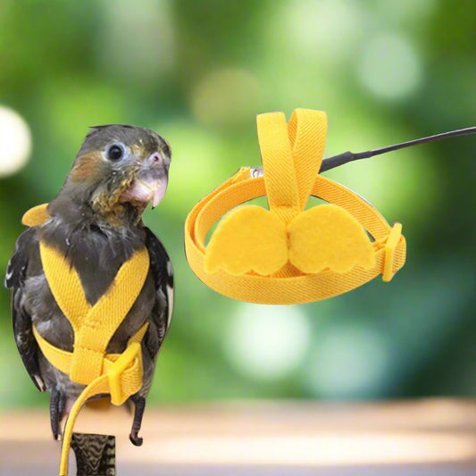 Parrot Flight Harness & Leash - Outdoor Training for Cockatiels, Macaws, and Budgies