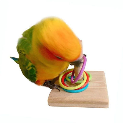 Parrot Training Ring Toy - Interactive & Educational Bird Toy in Random Colors