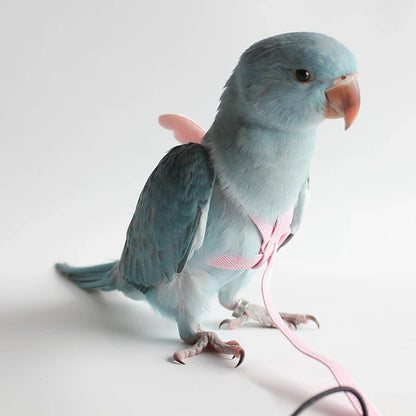 Parrot Flight Harness & Leash - Outdoor Training for Cockatiels, Macaws, and Budgies