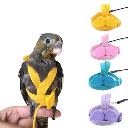 Parrot Flight Harness & Leash - Outdoor Training for Cockatiels, Macaws, and Budgies