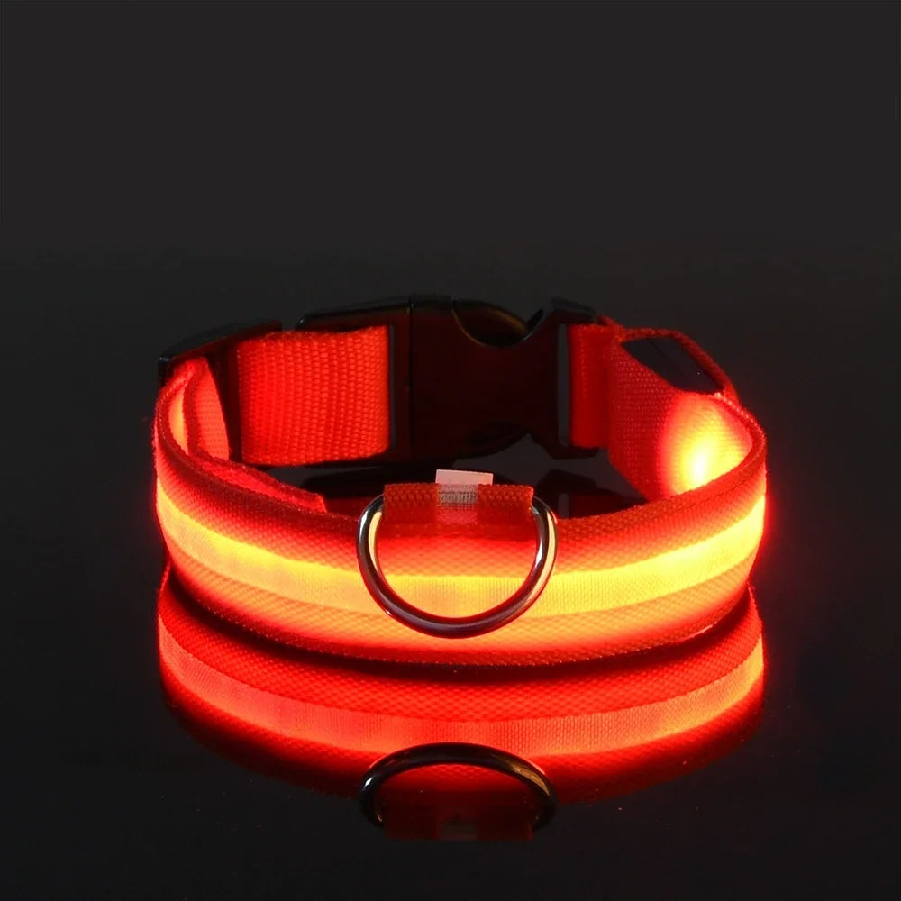 LED Nylon Dog Collar - Glow in the Dark Safety Leash & Accessories