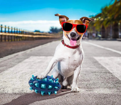 Durable Squeaky Rubber Chew Ball – Nearly Indestructible Toy for Aggressive Chewers