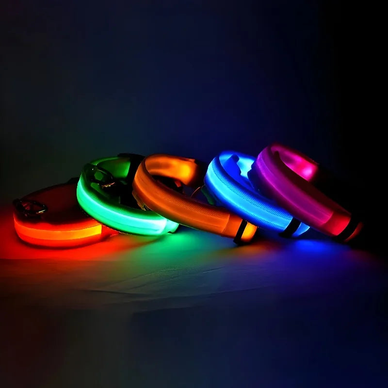 LED Nylon Dog Collar - Glow in the Dark Safety Leash & Accessories