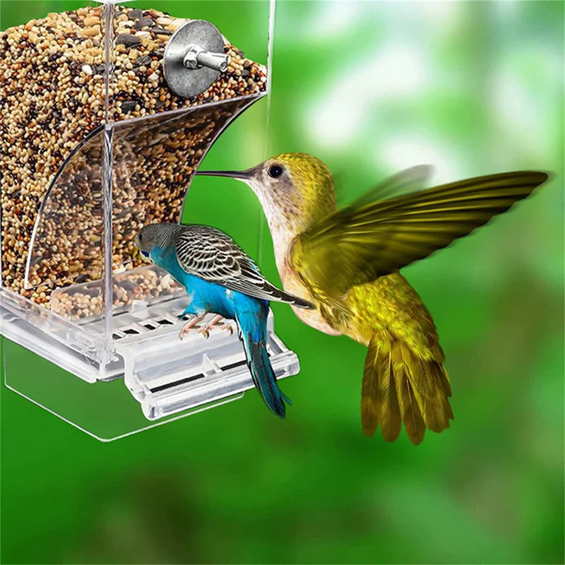 Automatic No Mess Bird Feeder & Drinker - Acrylic Seed Container for Parakeets