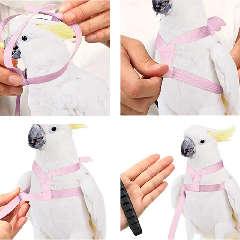 Parrot Flight Harness & Leash - Outdoor Training for Cockatiels, Macaws, and Budgies