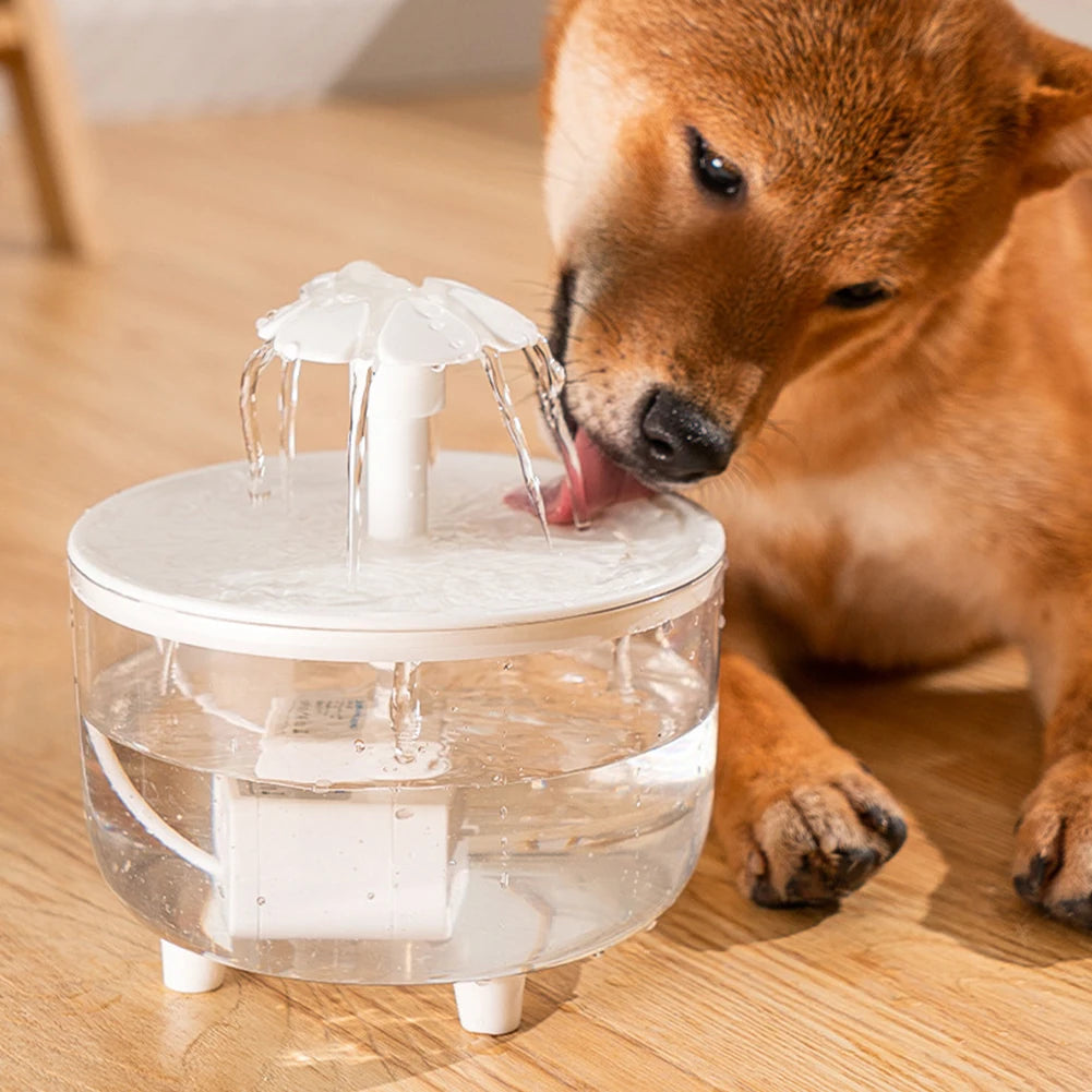 Cat and Dog Water Fountain – Quiet, Filtered Automatic Pet Bowl