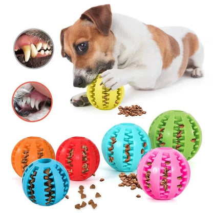 Durable Natural Rubber Dog Chew Ball – Tooth Cleaning & Treat Dispensing Toy