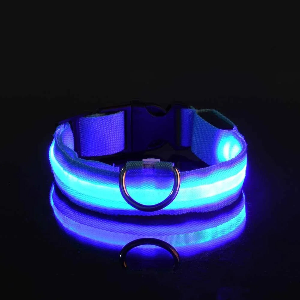 LED Nylon Dog Collar - Glow in the Dark Safety Leash & Accessories