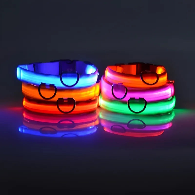 LED Nylon Dog Collar - Glow in the Dark Safety Leash & Accessories