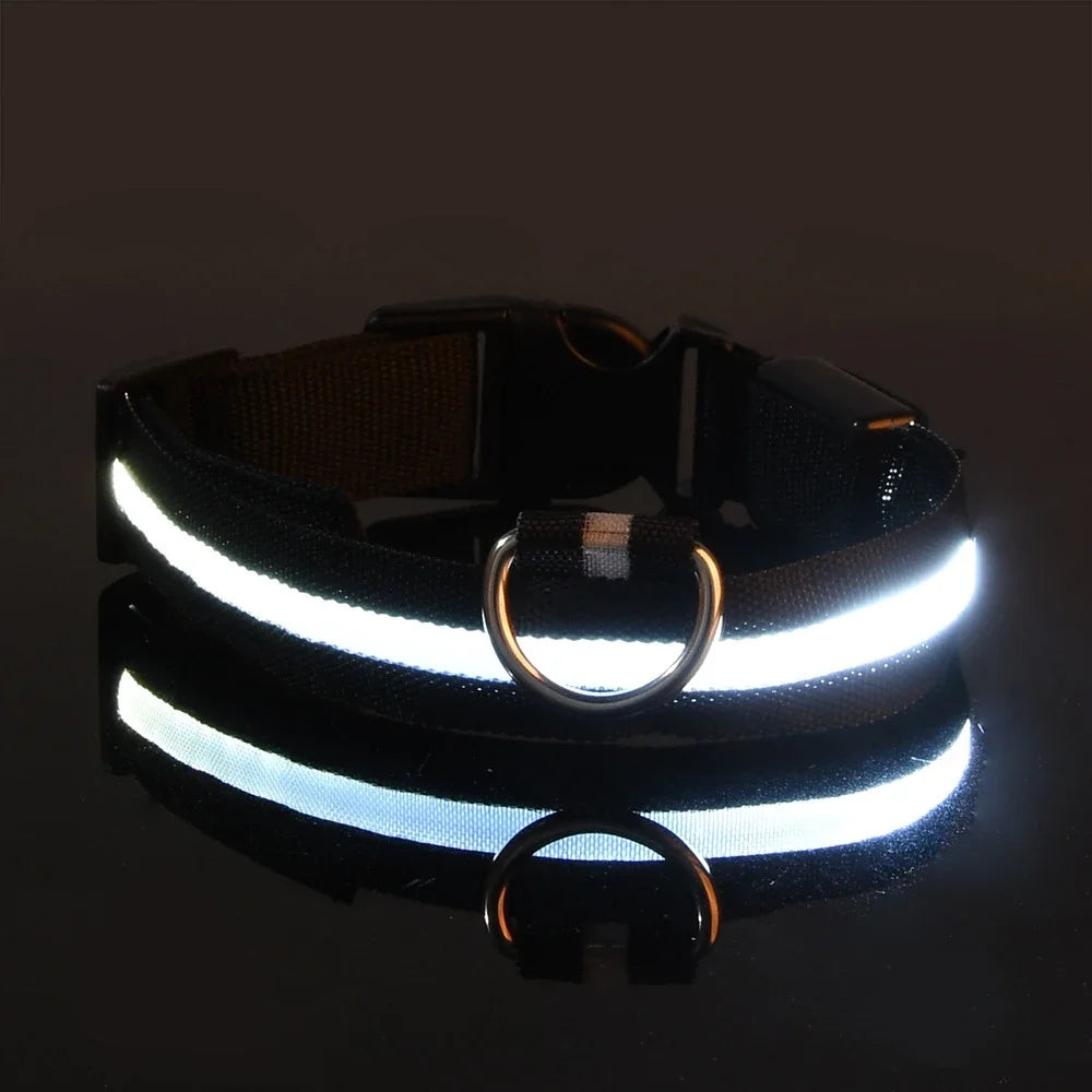 LED Nylon Dog Collar - Glow in the Dark Safety Leash & Accessories