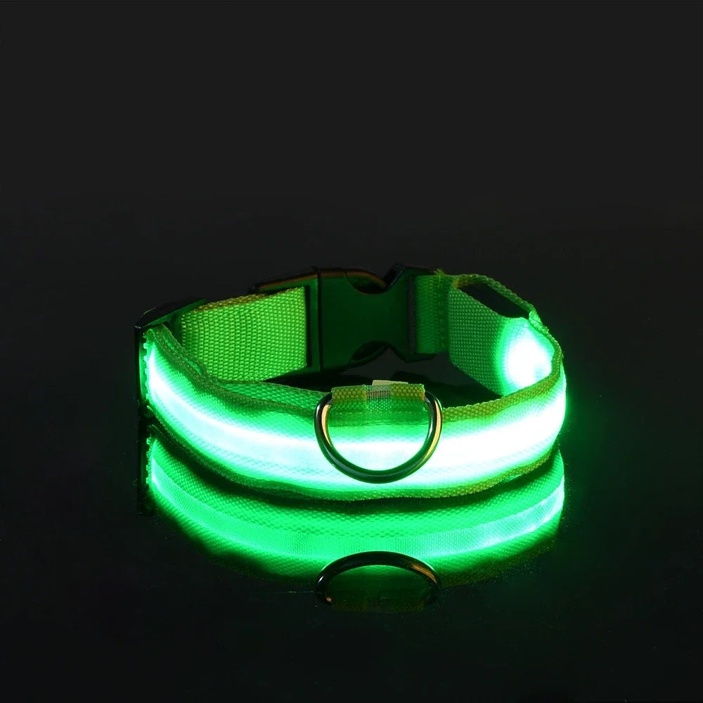 LED Nylon Dog Collar - Glow in the Dark Safety Leash & Accessories