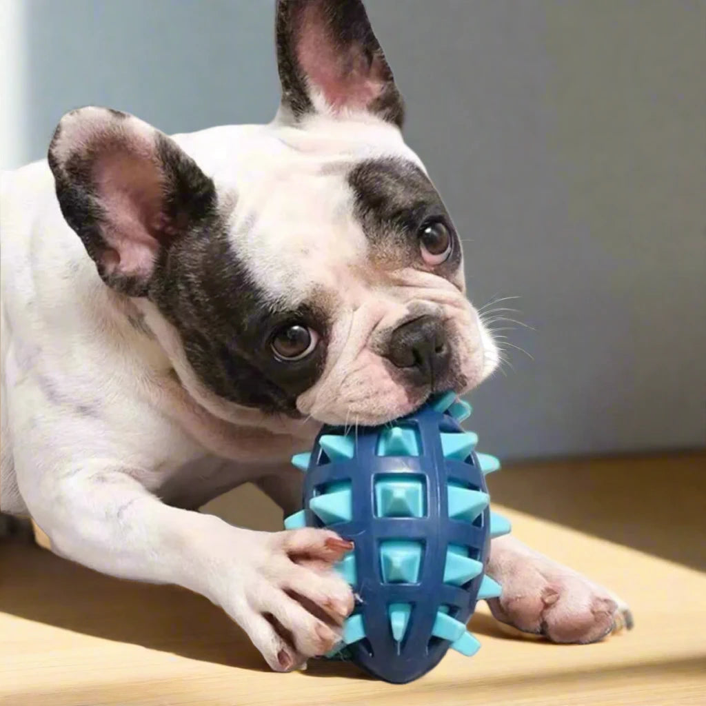 Durable Squeaky Rubber Chew Ball – Nearly Indestructible Toy for Aggressive Chewers