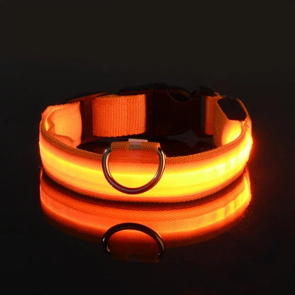 LED Nylon Dog Collar - Glow in the Dark Safety Leash & Accessories