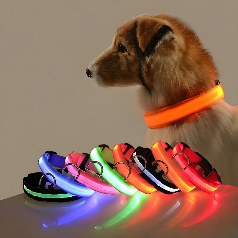 LED Nylon Dog Collar - Glow in the Dark Safety Leash & Accessories