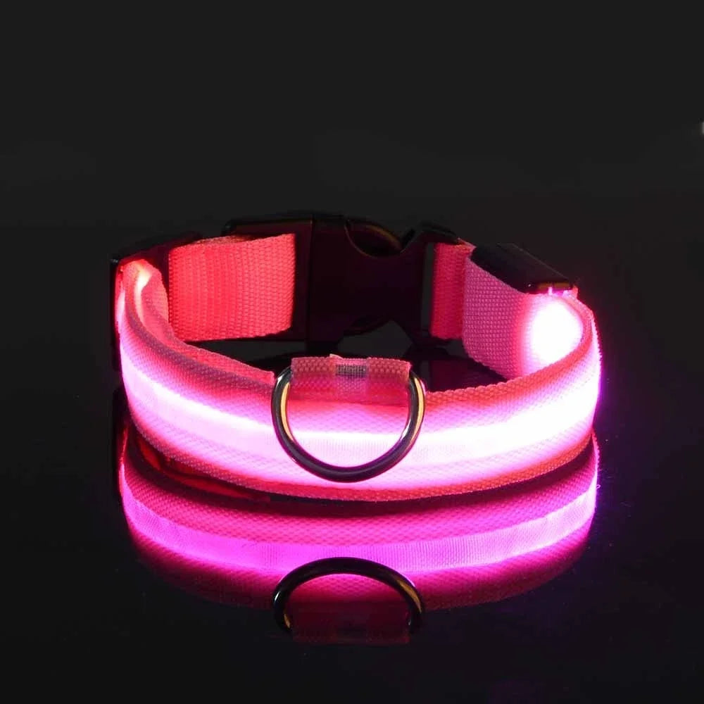 LED Nylon Dog Collar - Glow in the Dark Safety Leash & Accessories