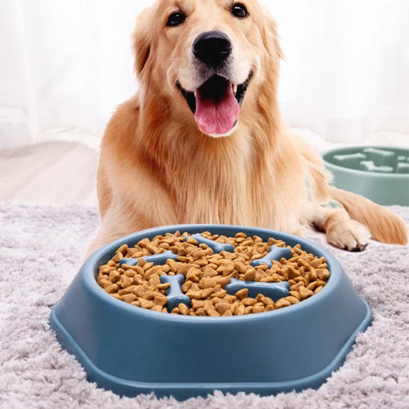 Slow Feeder Bowl - Anti-Choking Dog Bowl, Anti-Gulping Feeding Plate