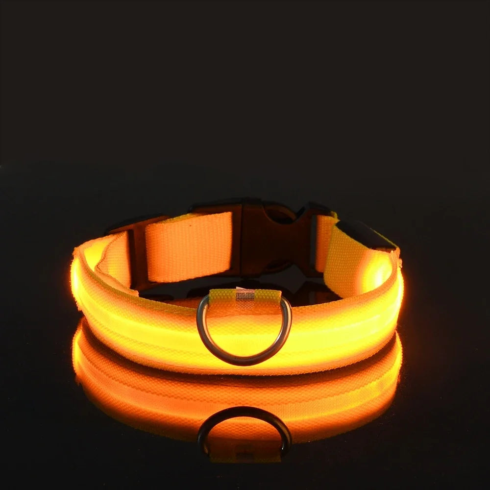 LED Nylon Dog Collar - Glow in the Dark Safety Leash & Accessories