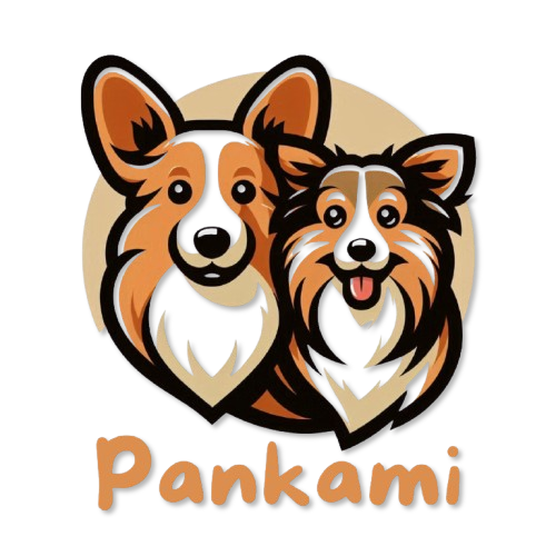 Pankami Shop